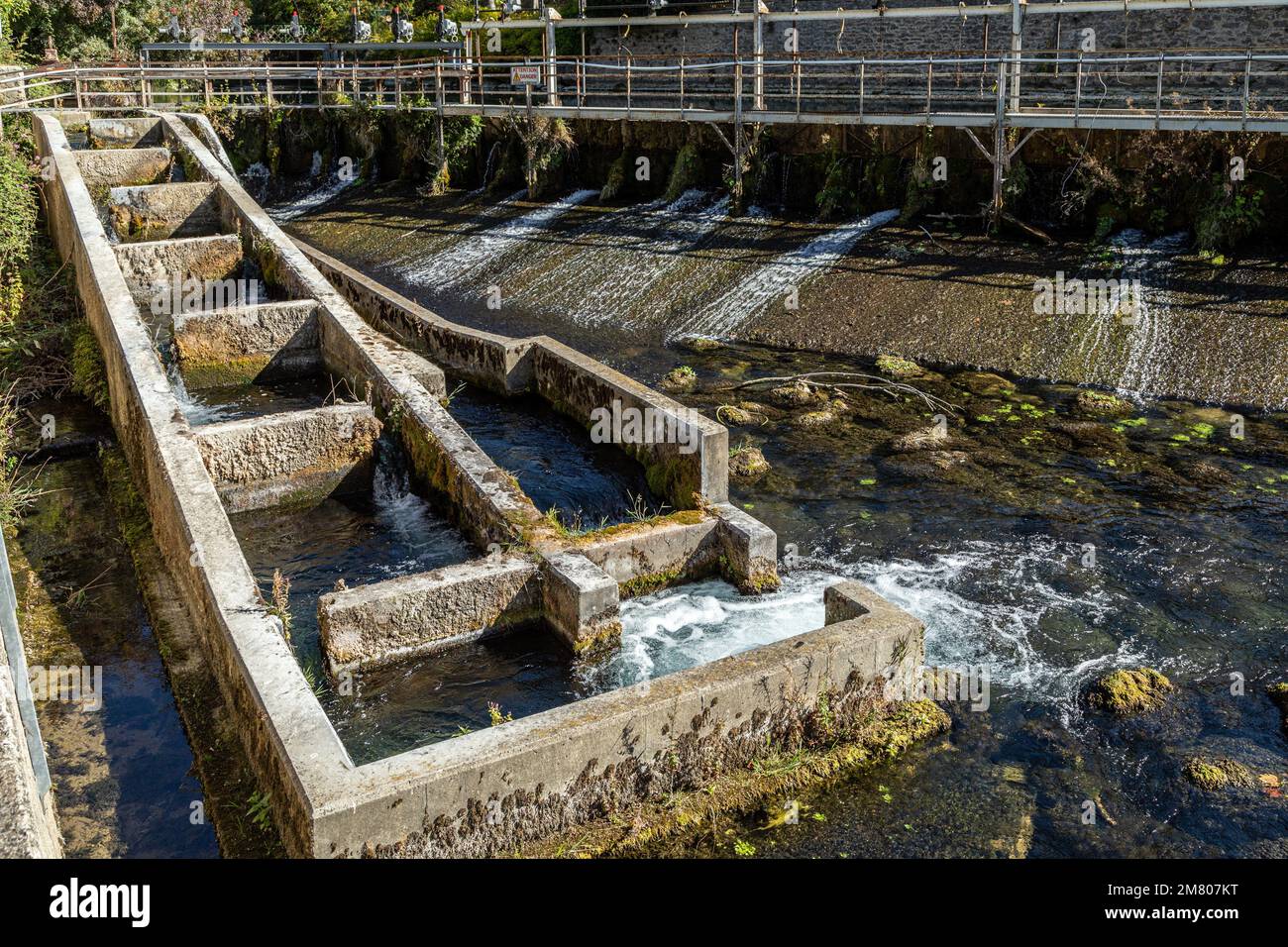 SCALA DI PESCE SULLA SORGUE, FONTAINE-DE-VAUCLUSE, FRANCIA Foto Stock