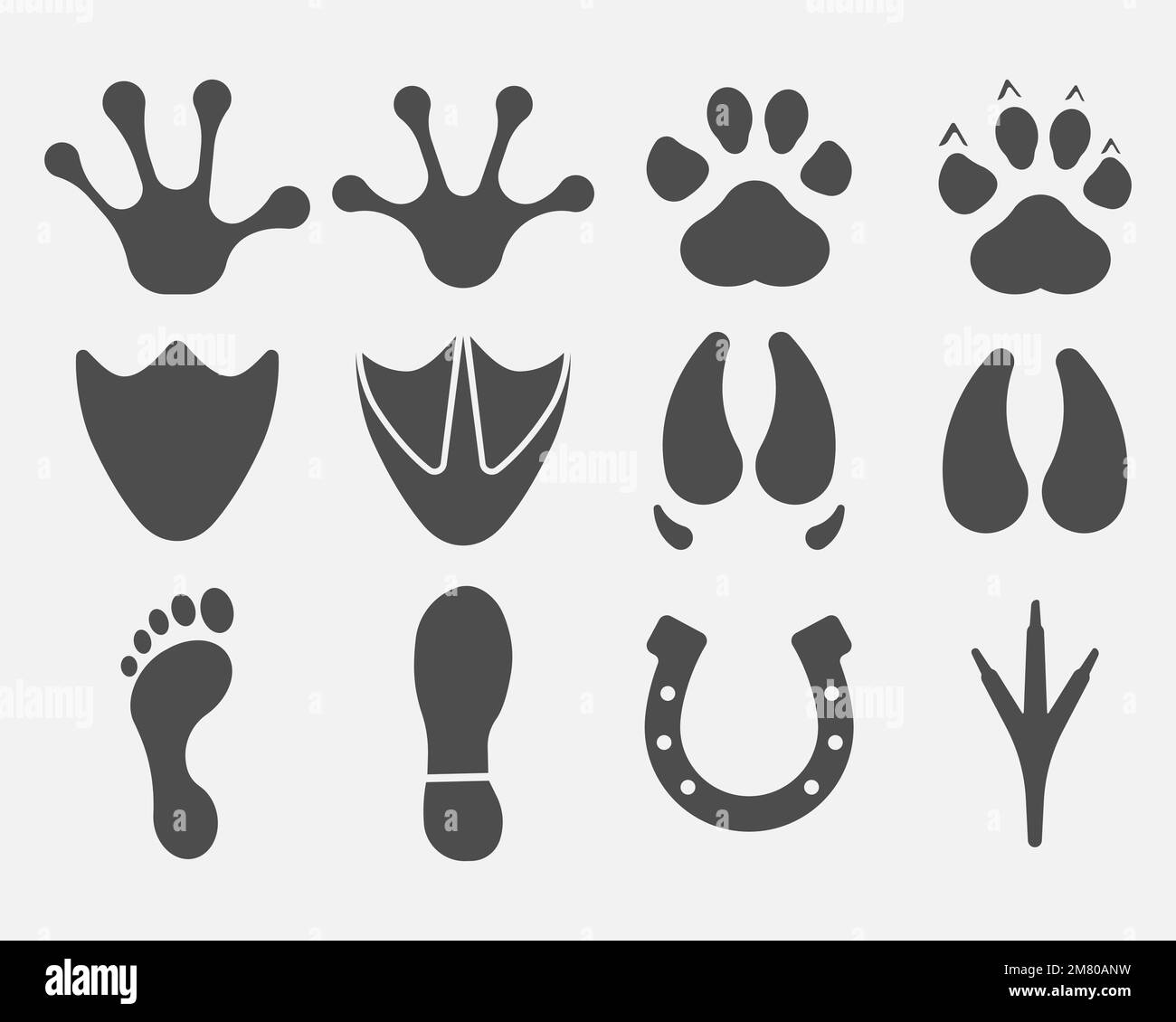 Tracce di silhouette di animali e uccelli diverse nere isolate su sfondo bianco. Illustrazione vettoriale. EPS 10. Illustrazione Vettoriale