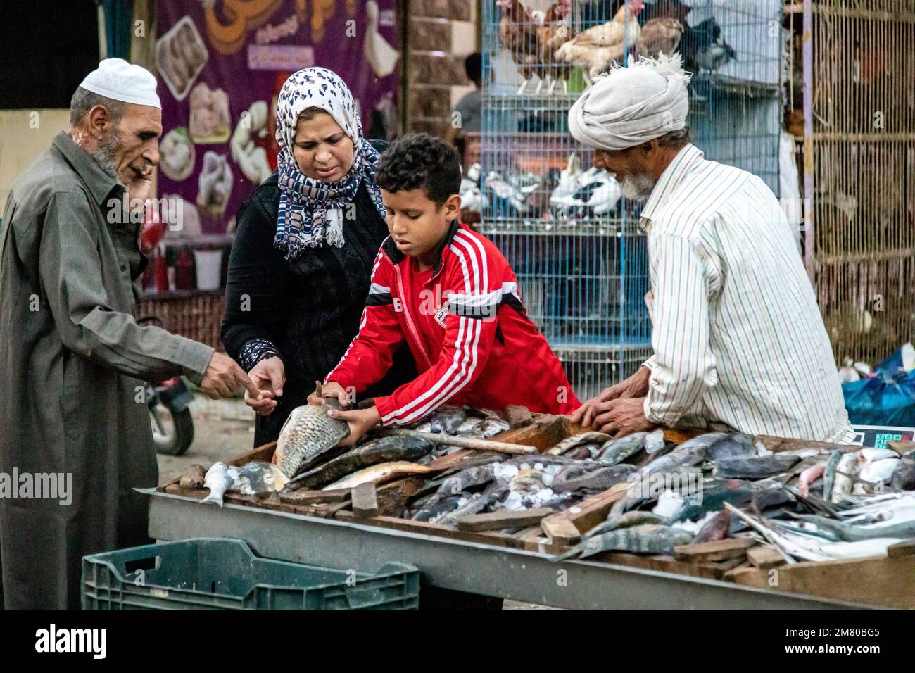 I CLIENTI CON LA FAMIGLIA PRESSO LO STAND DEL PESCIVENDOLO IN THE STREET, IL MERCATO DI EL DAHAR, FAMOSO QUARTIERE DELLA CITTÀ VECCHIA, HURGHADA, EGITTO, AFRICA Foto Stock
