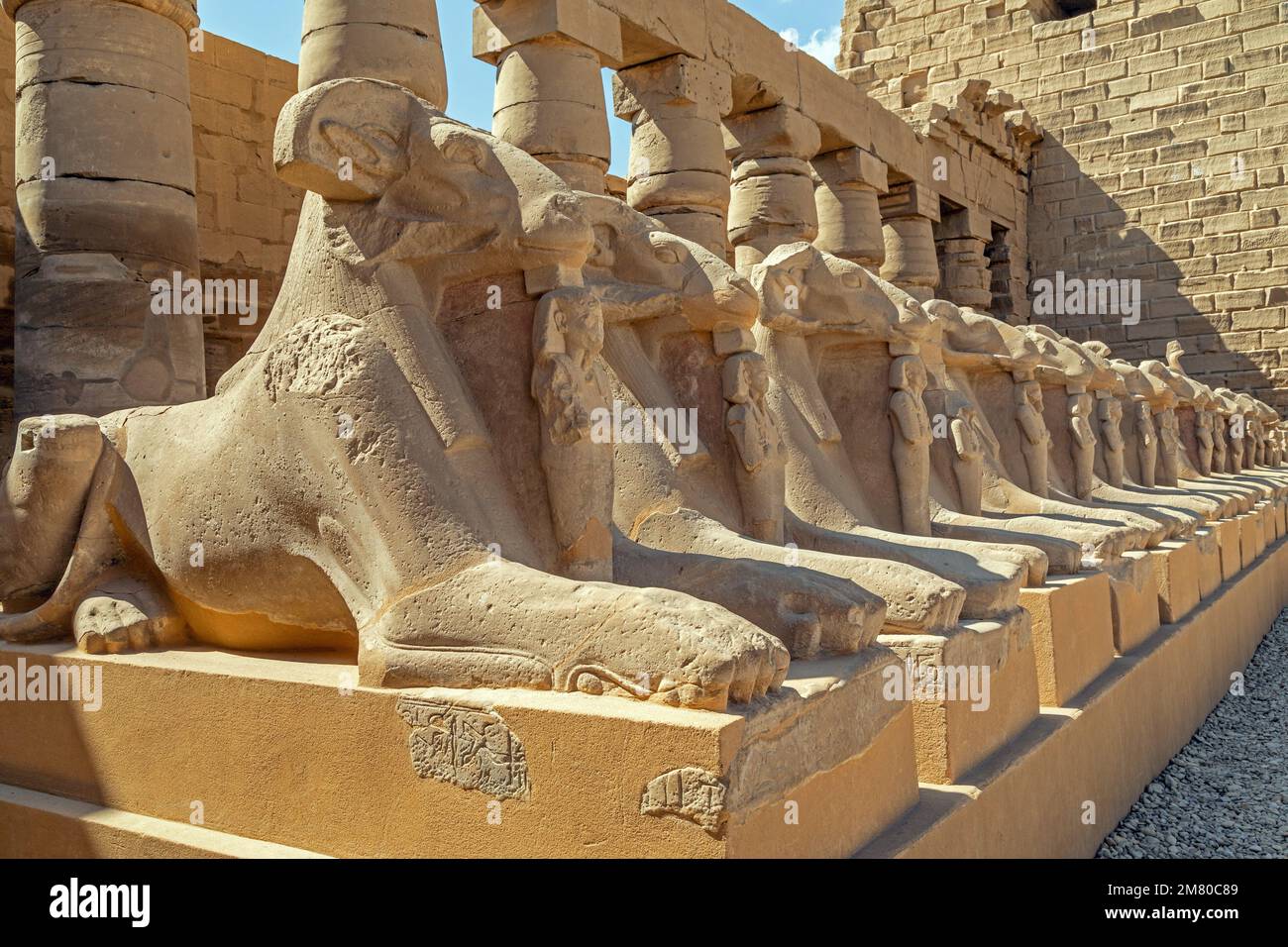 DROMOS, VIALE DI SFINGI CAPRE-TESTA CHE CONDUCE ALL'INGRESSO DEL TEMPIO DI KARNAK, ANTICO SITO EGIZIANO DELLA DINASTIA DEL 13TH, SITO PATRIMONIO DELL'UMANITÀ DELL'UNESCO, LUXOR, EGITTO, AFRICA Foto Stock