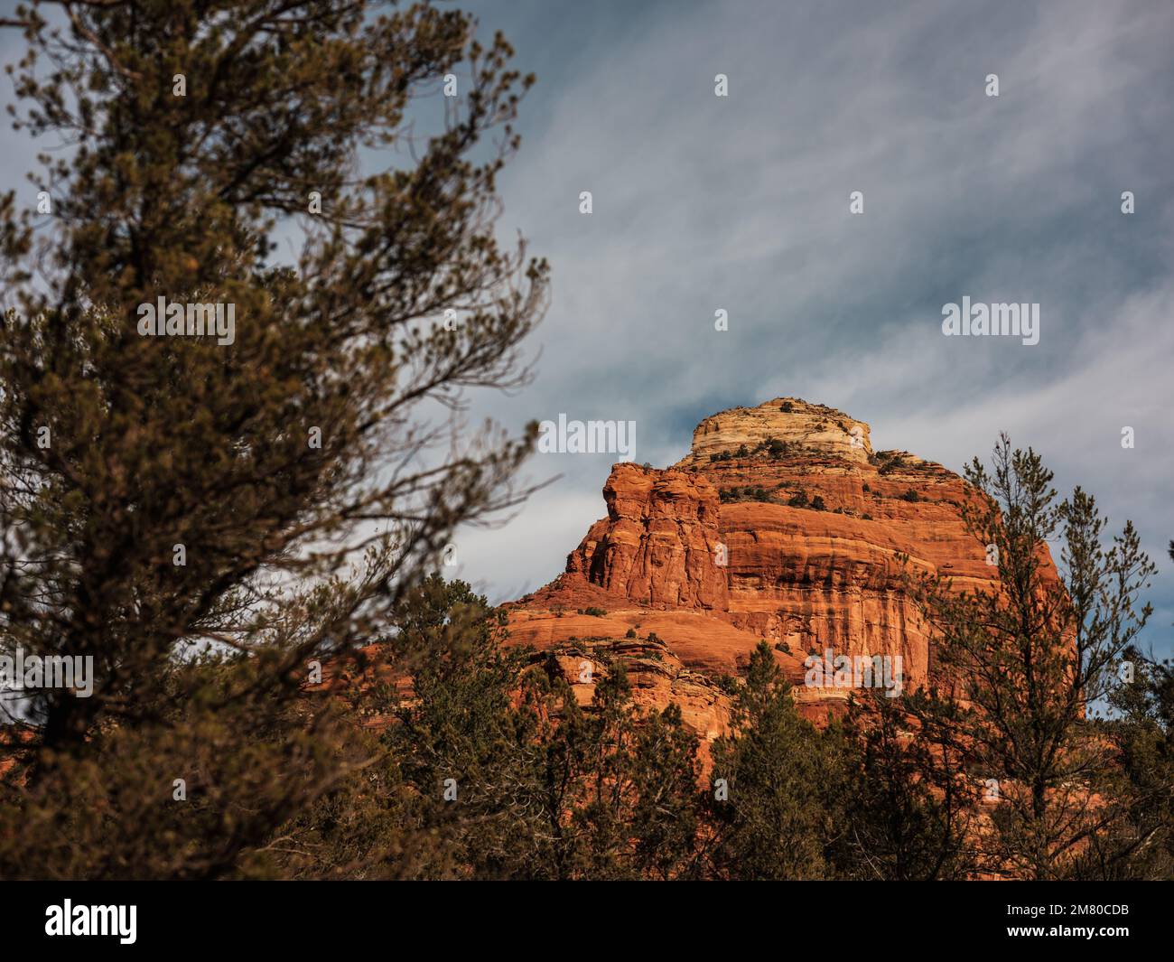 Sedona è una città desertica dell'Arizona, vicino a Flagstaff, nota per le sue rocce rocciose, le ripide pareti del canyon e le foreste di pini sempreverdi. Foto Stock