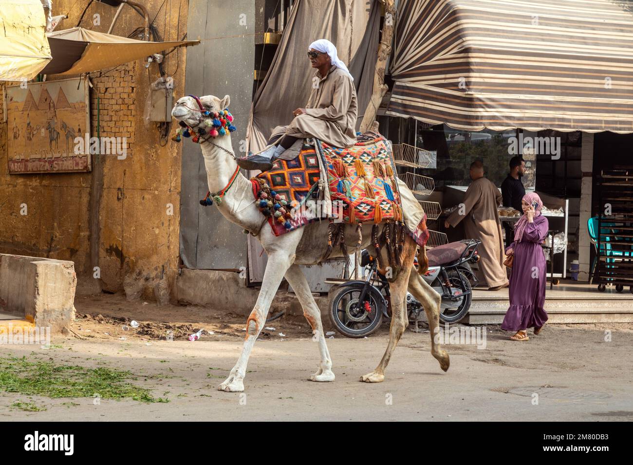 STREET SCENE A GIZA CON UN UOMO E CAMMELLO E UNA GIOVANE DONNA ARABA CON IL SUO CELLULARE, IL CAIRO, EGITTO, AFRICA Foto Stock