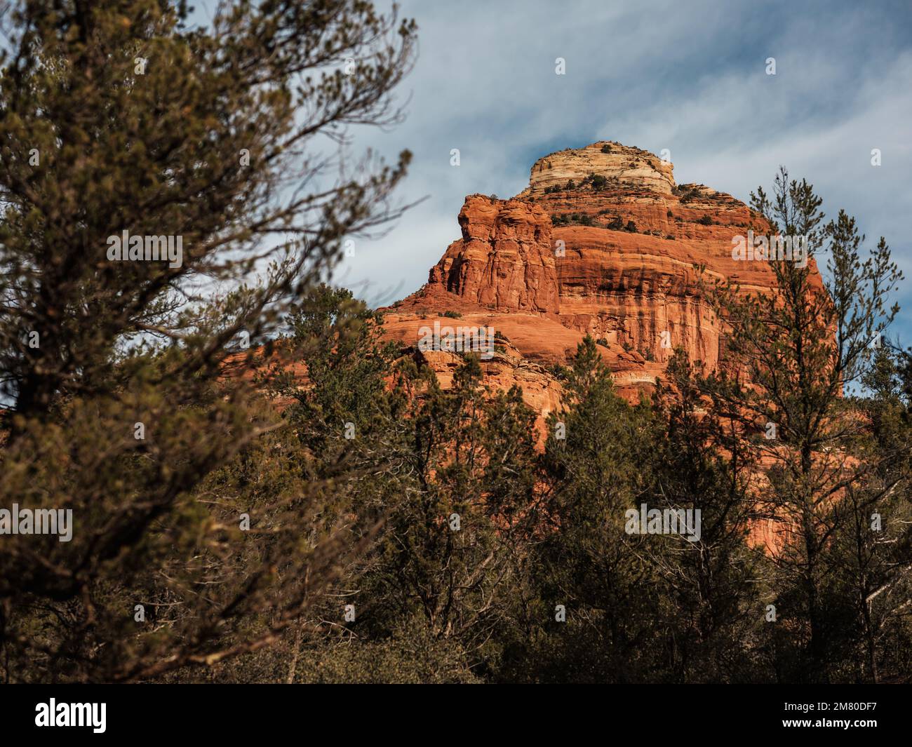 Sedona è una città desertica dell'Arizona, vicino a Flagstaff, nota per le sue rocce rocciose, le ripide pareti del canyon e le foreste di pini sempreverdi. Foto Stock