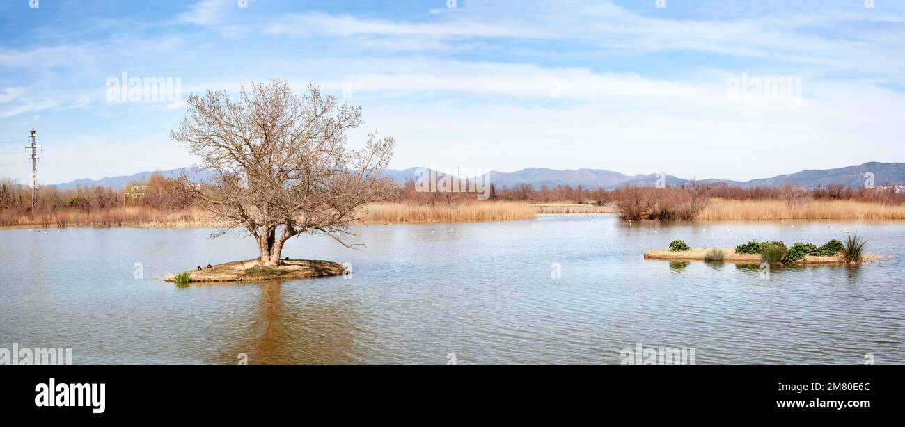 Aiguamolls di Amporda. Catalogna Foto Stock