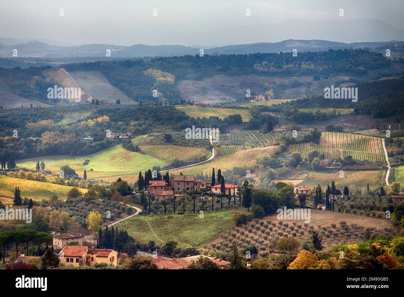 Agriturismo in collina nel paesaggio rurale toscano, Italia Foto Stock