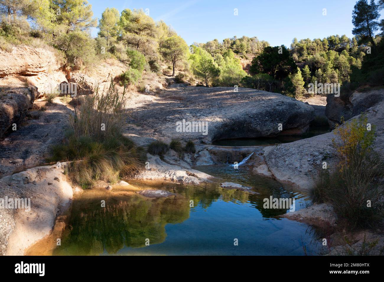 Les olles immagini e fotografie stock ad alta risoluzione Alamy