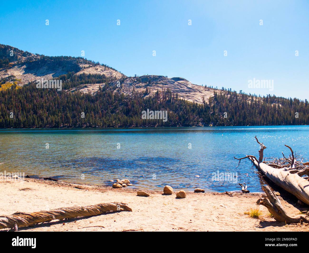 Lago Ellery; a est del passo Tioga, l'ingresso est del Parco Nazionale di Yosemite. L'altitudine è di circa 9500 metri. Foto Stock