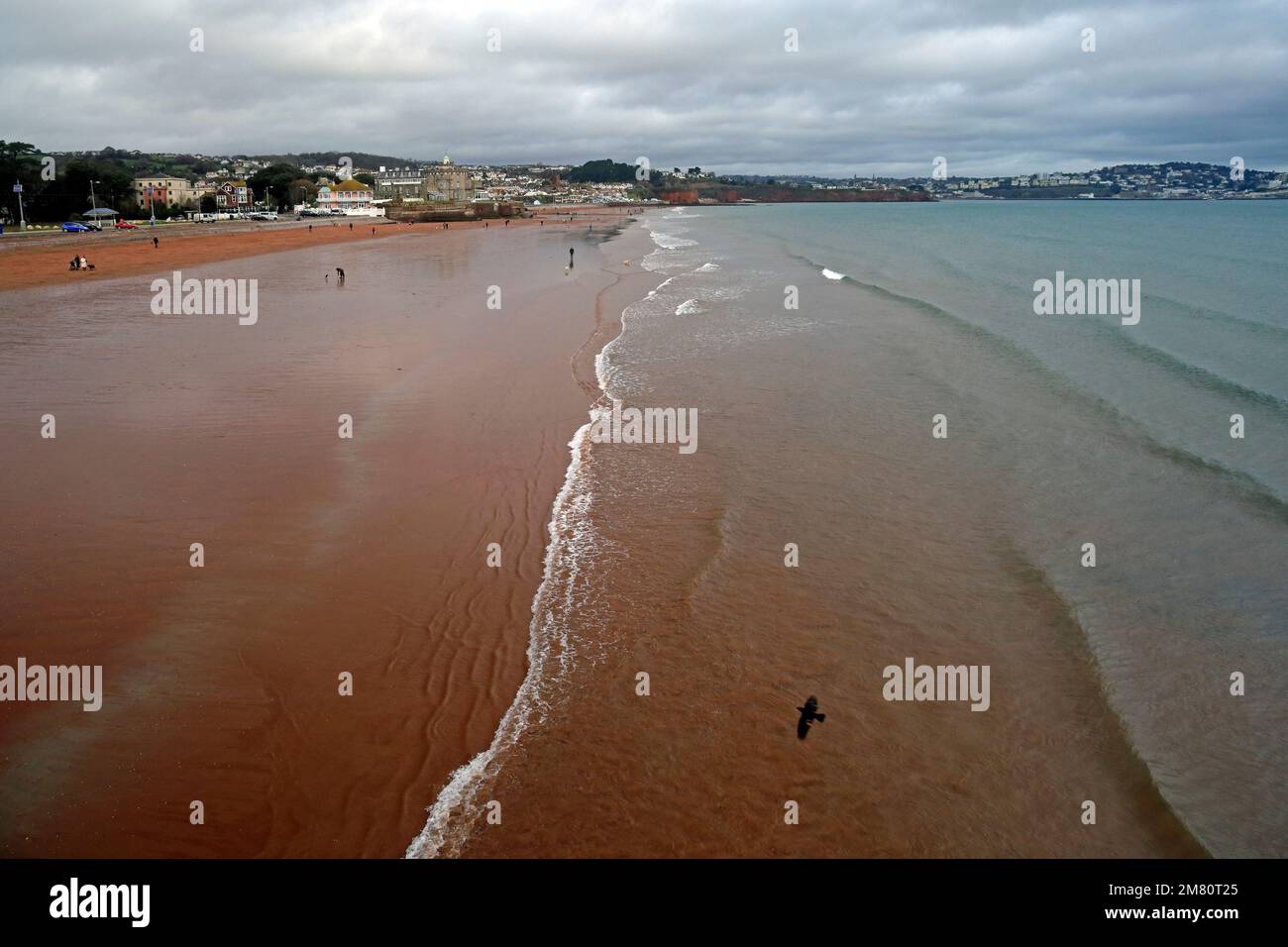 Vista della spiaggia di Paignton con escursionisti e cani, Devon. Preso dal molo di Paignton. Gennaio 2023 Foto Stock