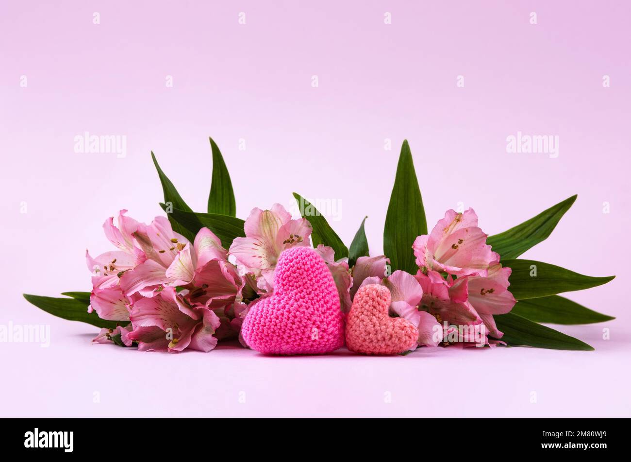 Composizione di fiori viola Alstroemeria con cuori rosa a maglia su fondo rosa. Concetto di San Valentino, saluti per una persona amata, top vi Foto Stock