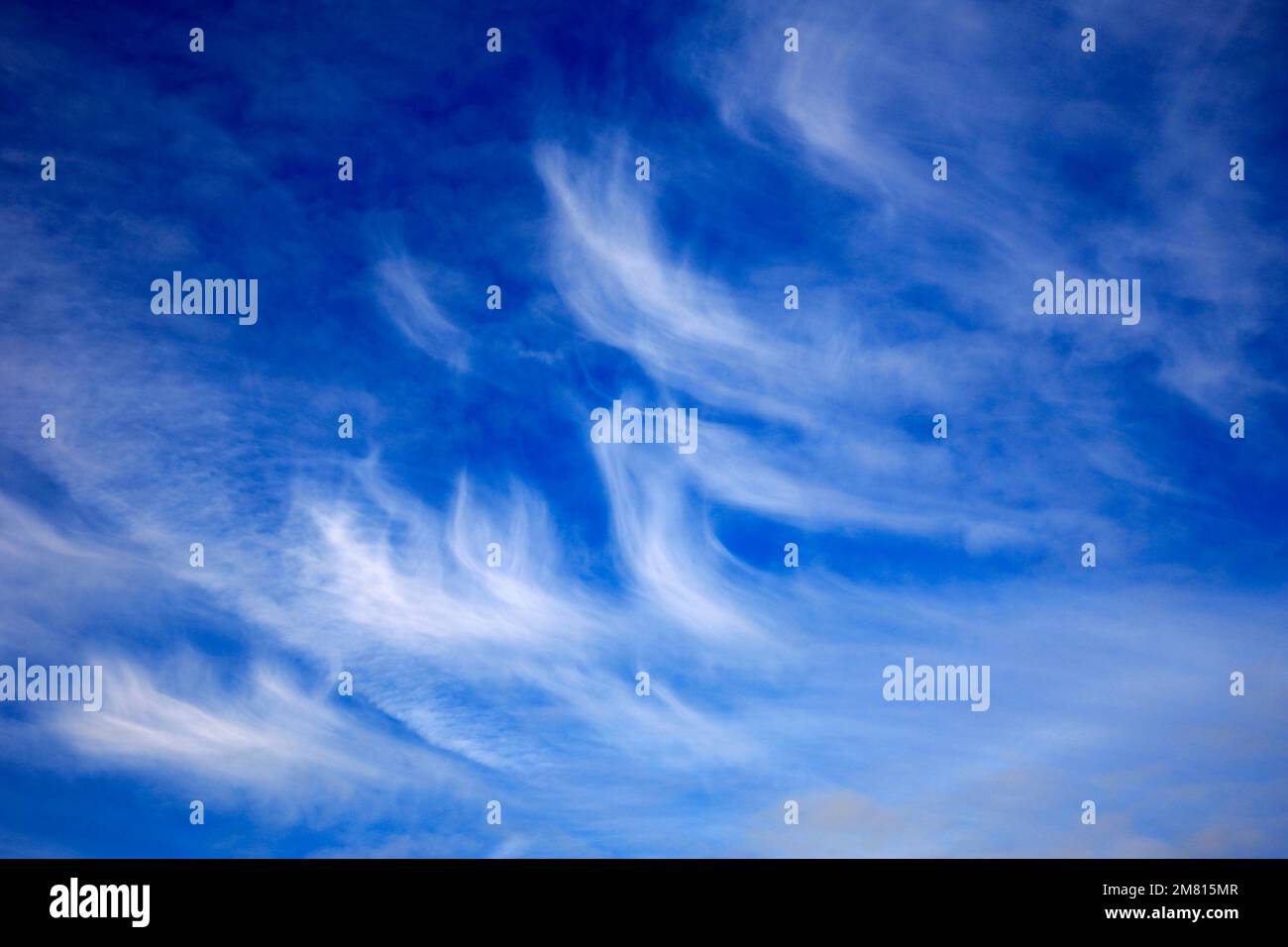 Cirrus uncinus nuvole in un cielo blu Foto Stock