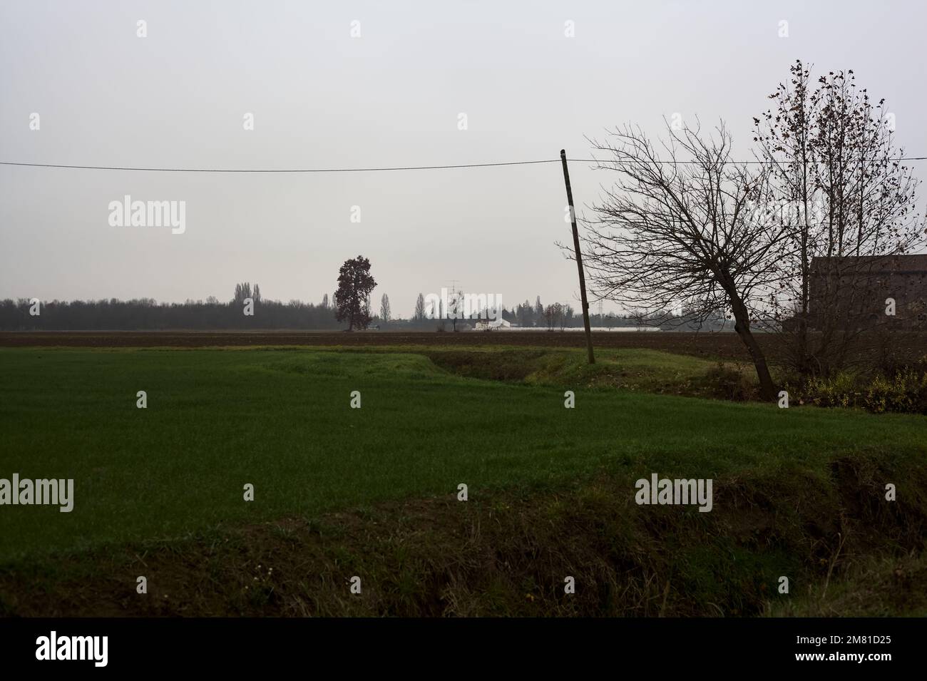 Albero e una casa di campagna al bordo di un ruscello d'acqua vicino ai campi coltivati in una giornata colta Foto Stock