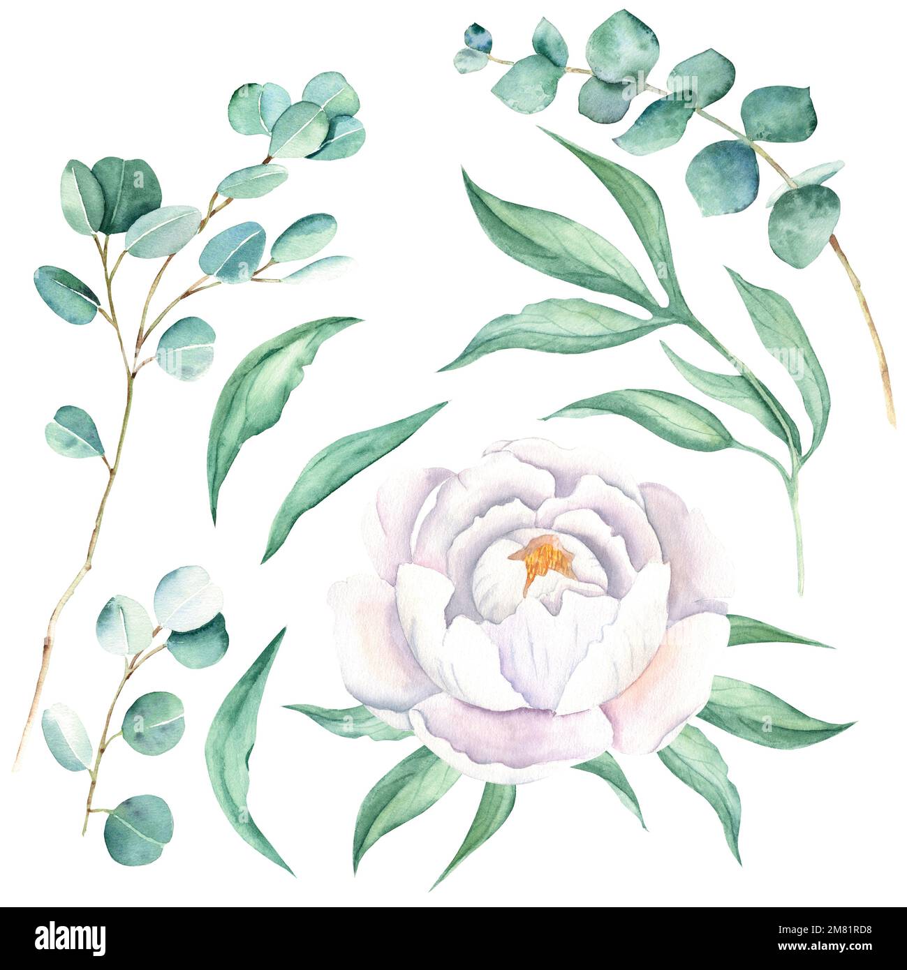 Acquerello bianco fiore di peonia, foglie e rami di eucalipto. Illustrazione botanica disegnata a mano isolata su sfondo bianco. Può essere utilizzato per Foto Stock