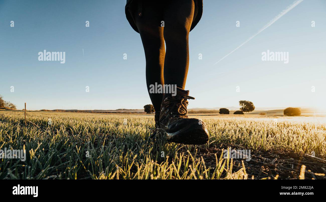 gambe di persona con scarponi da trekking che camminano attraverso il campo Foto Stock