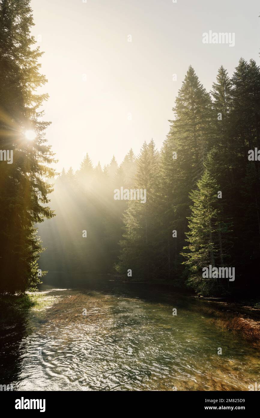 Fiume con nebbia mattutina e luce solare in Durmitor Montenegro Foto Stock