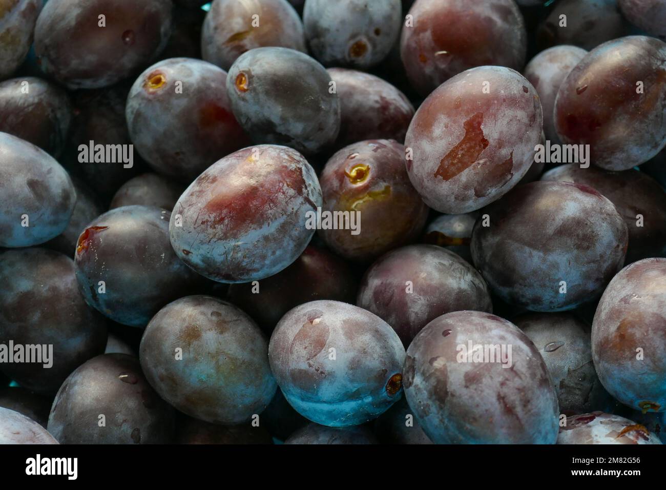 Prugne background.Fresh prugne.Farm bio frutta. Plum abbondanza.prugne Harvest.Diet frutta sana Foto Stock
