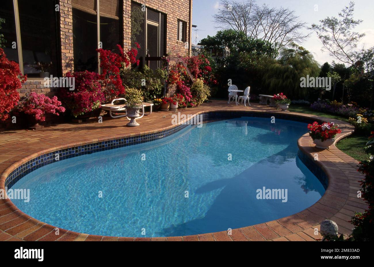 SCENA DA GIARDINO AUSTRALIANO CON PISCINA, LASTRICI, VASI DA GIARDINO & PIANTE DI BOUGAINVILLEA. SYDNEY, AUSTRALIA. Foto Stock