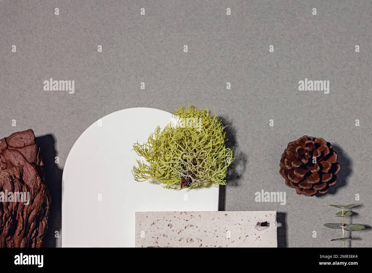 Natura ispirato piatto minimalista posa con pezzo di tre corteccia, muschio, pietra decorativa naturale. Ombre dure, spazio di copia Foto Stock