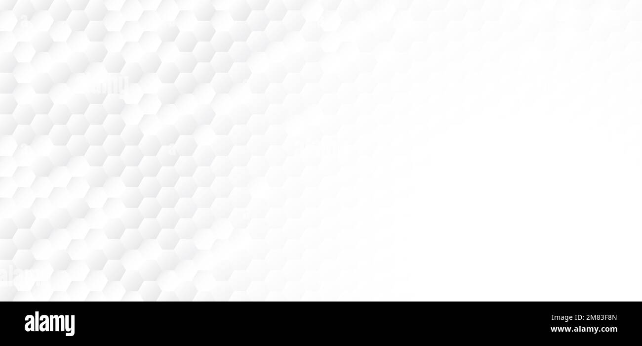 Forma a nido d'ape sfondo bianco hanno spazio copia, poligono sfondo bianco, luce e ombra su sfondo bianco carta, goffrato Hexagon Foto Stock