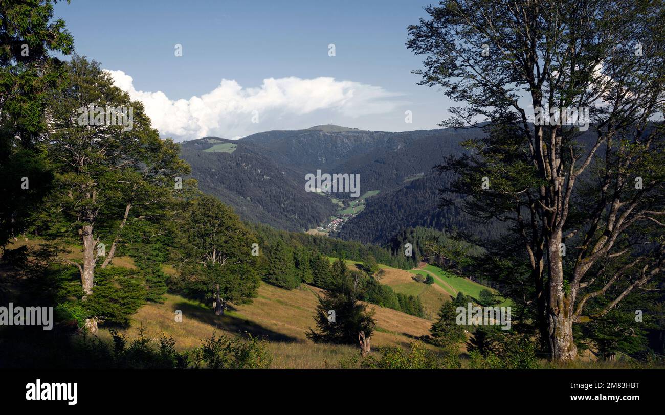 Blick vom Schauinsland zum Feldberg Foto Stock