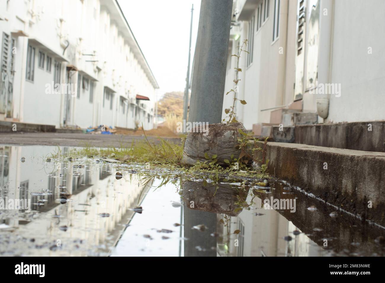 ristagnante piscina d'acqua scena dopo la pioggia al sobborgo strada asfaltata Foto Stock