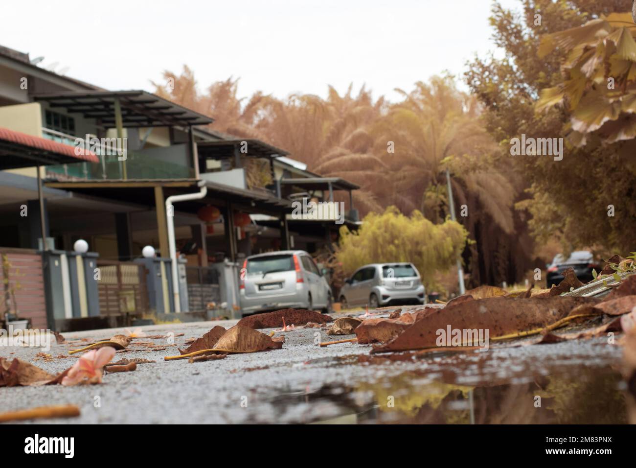 ristagnante piscina d'acqua scena dopo la pioggia al sobborgo strada asfaltata Foto Stock