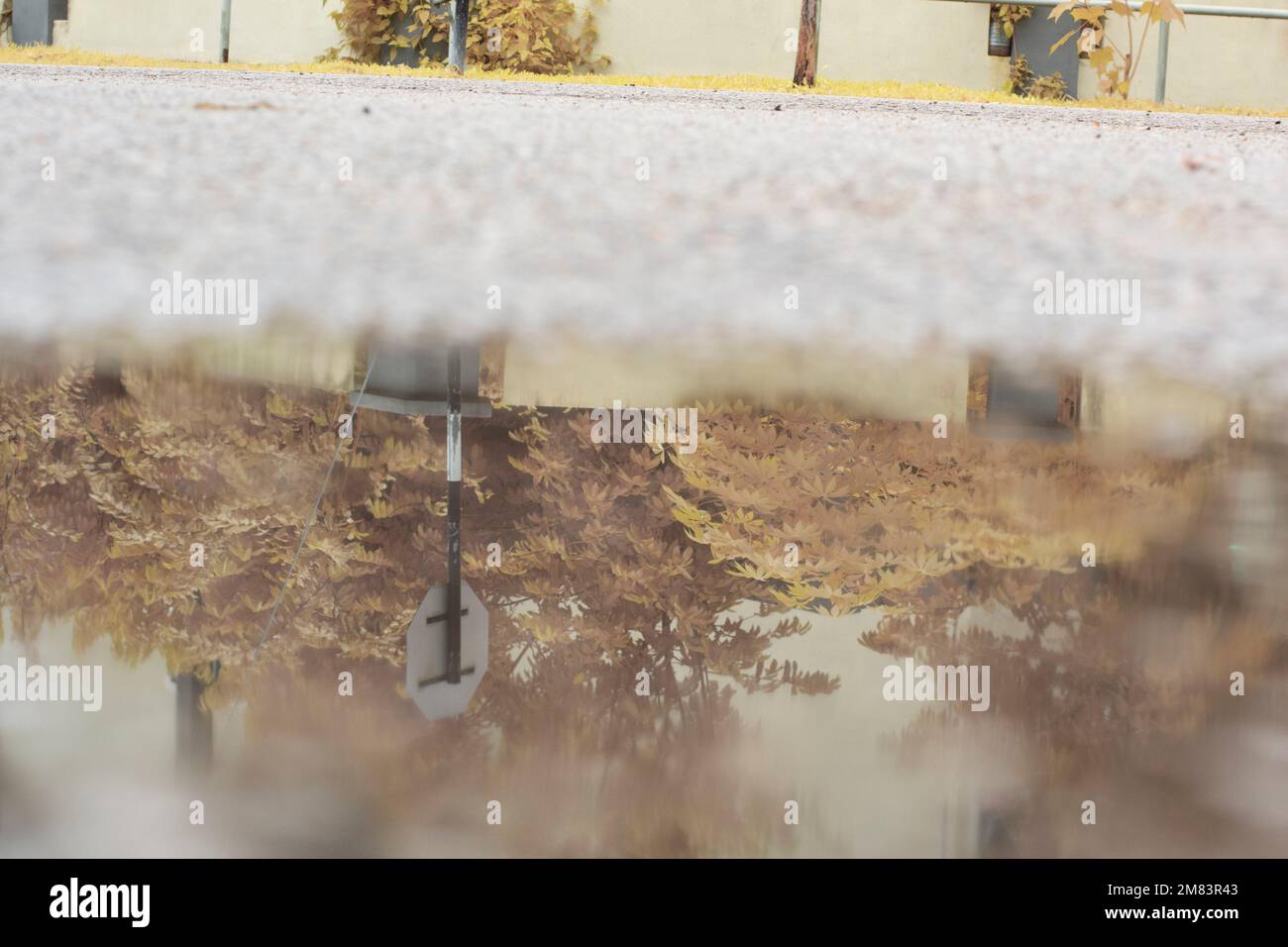 ristagnante piscina d'acqua scena dopo la pioggia al sobborgo strada asfaltata Foto Stock