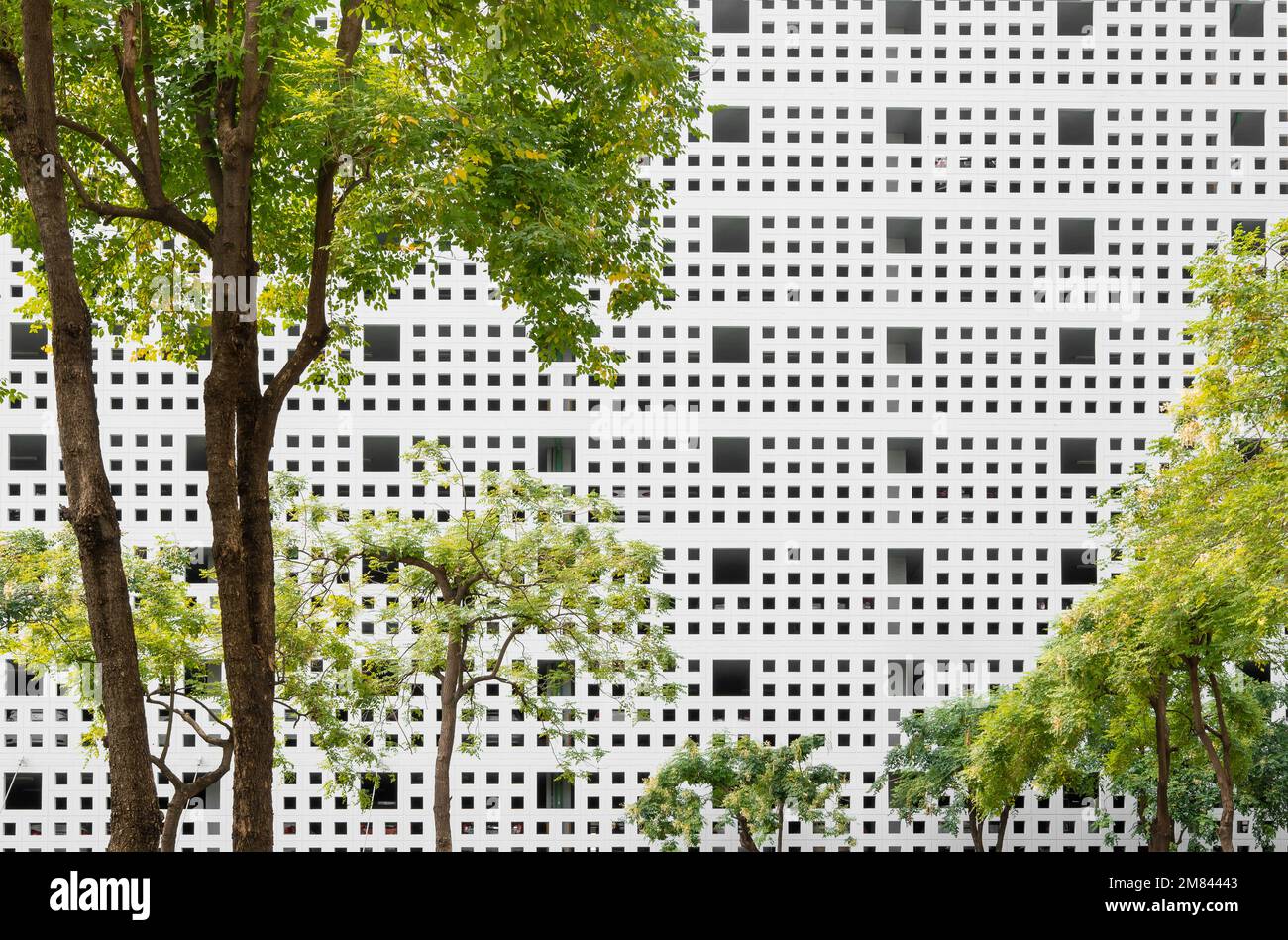 struttura ad albero e schema esterno di un edificio moderno Foto Stock
