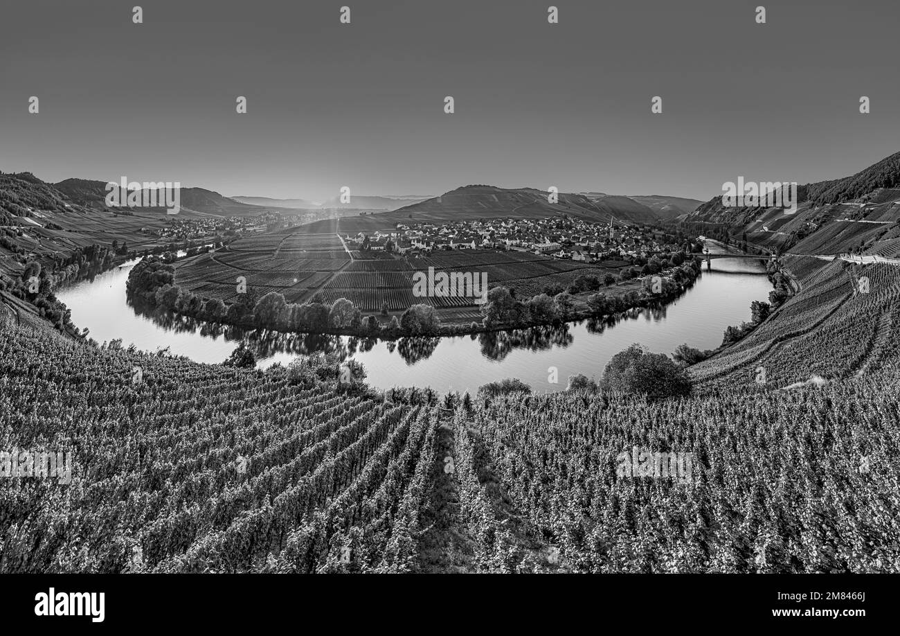 Giro panoramico del fiume mosella a Leiwen, Trittenheim in Germania Foto Stock