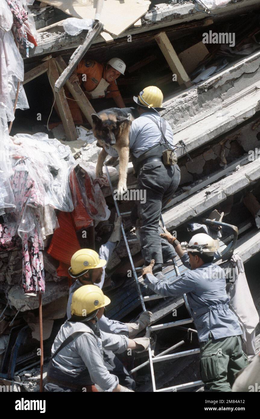 DF-ST-86-10087. Base: Mexico City Stato: Distrito Federal Nazione: Mexico (MEX) Foto Stock