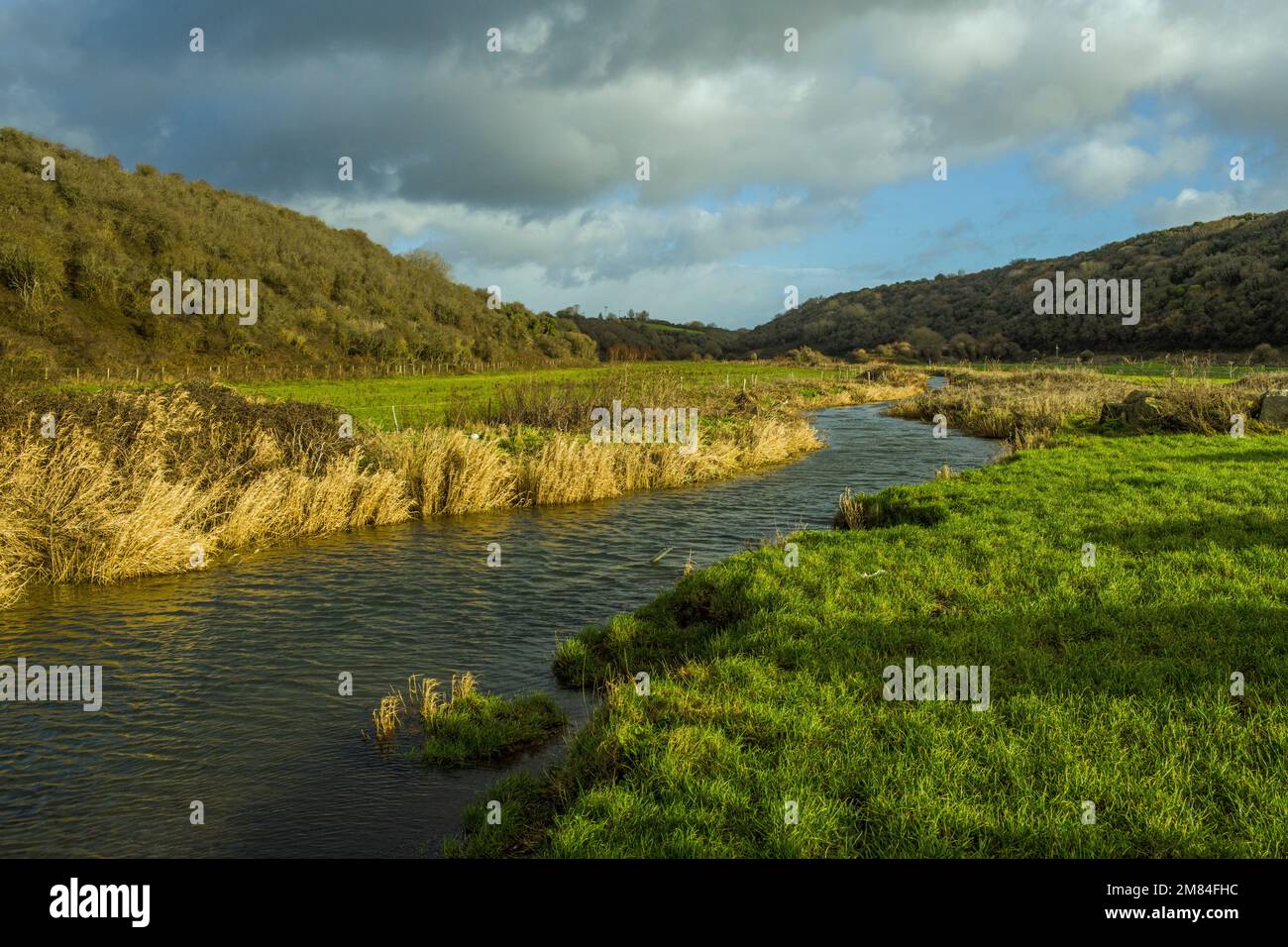 Guardando su e lungo il fiume Colhugh Llantwit Major South Wales Foto Stock