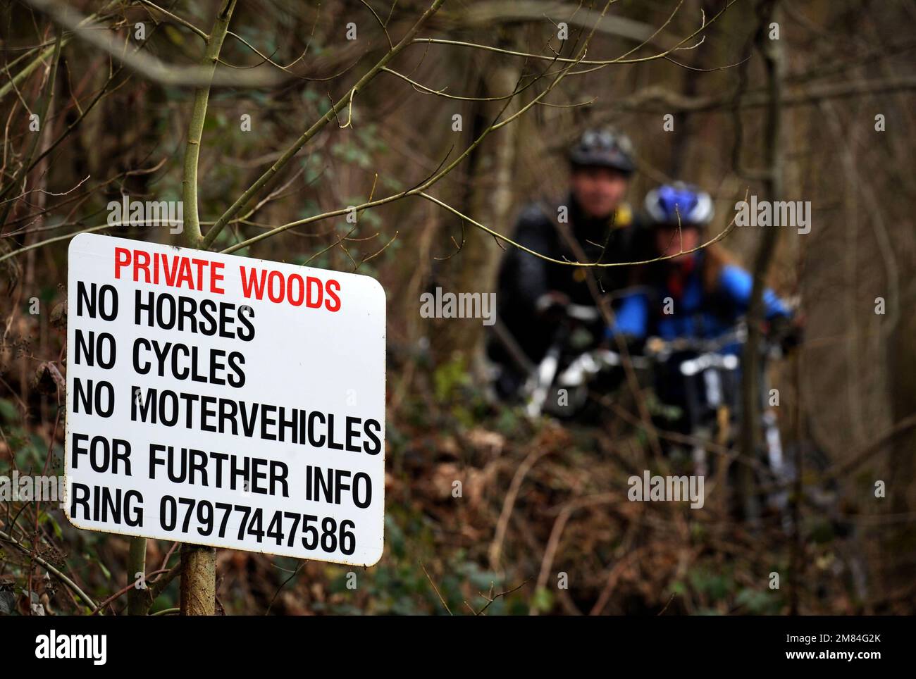 Terreno boschivo privato vicino a Ross-on-Wye, Herefordshire UK Foto Stock