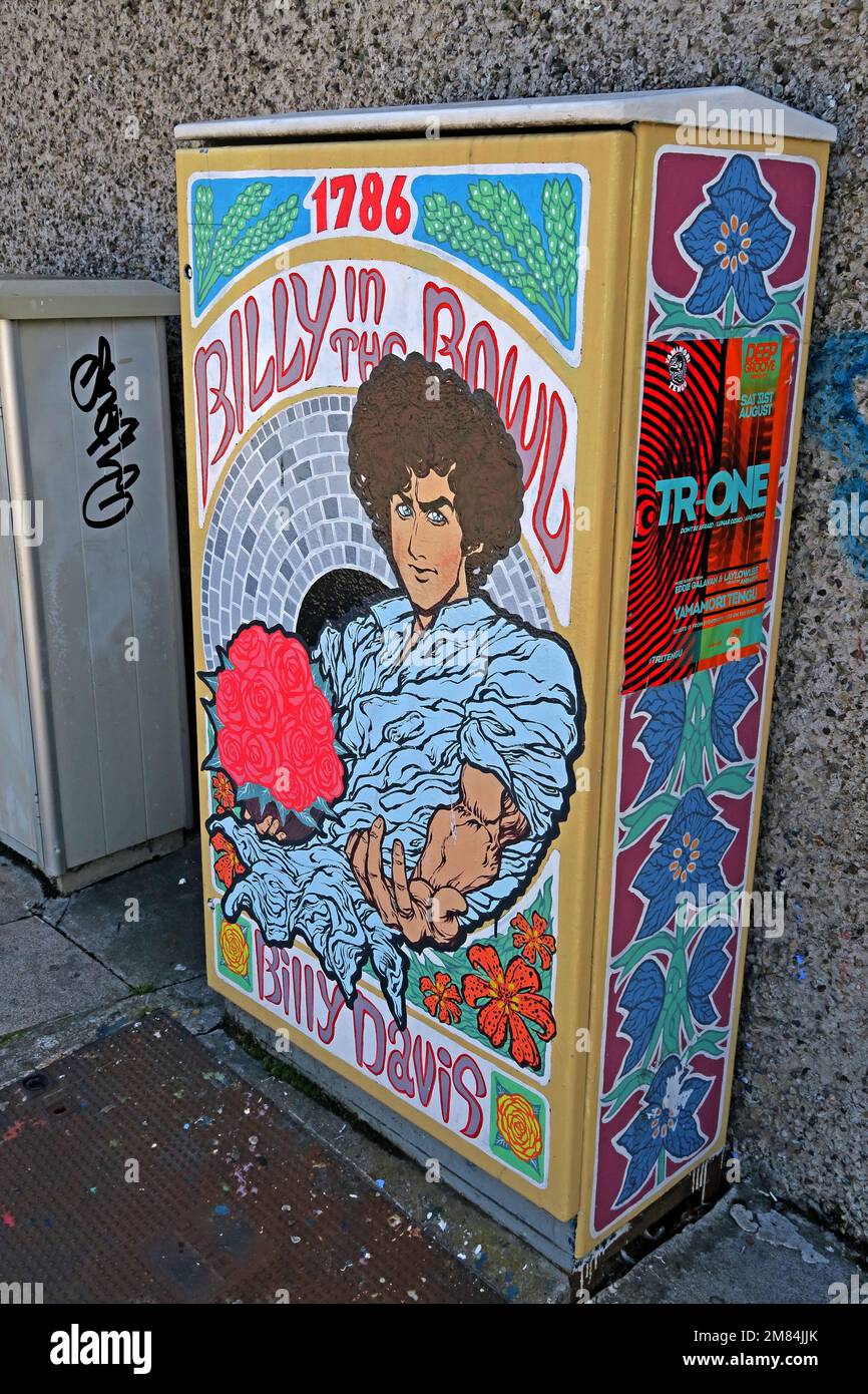 Illustrazione su una utility box, raffigurante Billy in the Bowl, serial killer 1786 11 Grangegorman Lane, Dublino, Eire, Irlanda Foto Stock