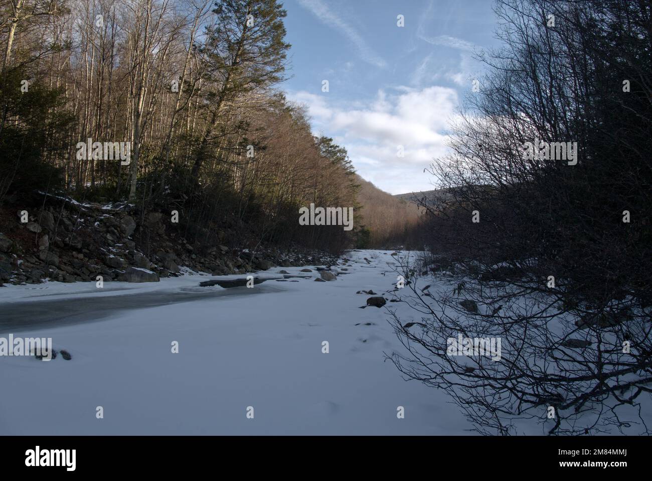 Red Creek in WV: Sods Dolly, congelato all'inizio di febbraio Foto Stock