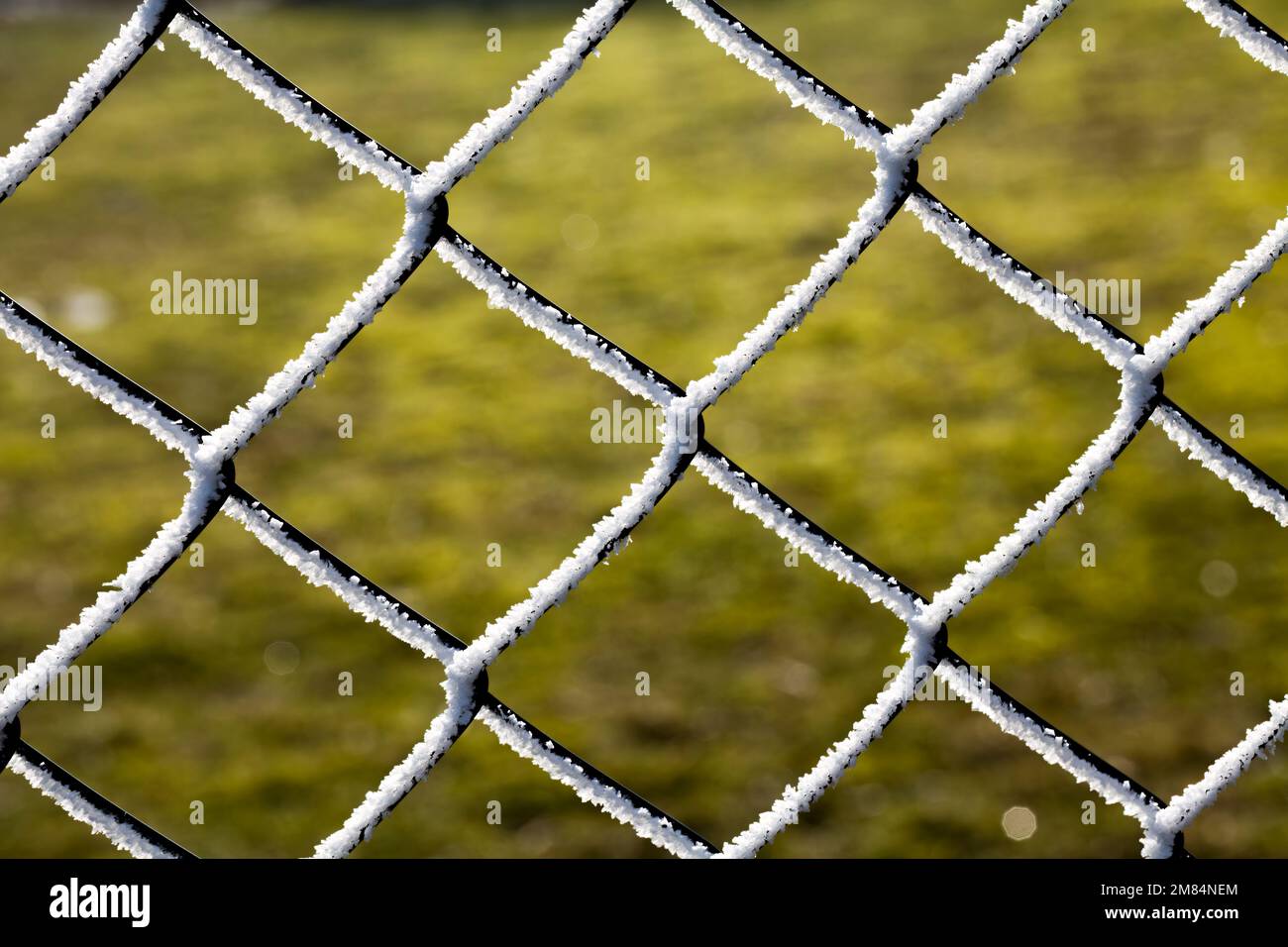 Una recinzione a catena con hoarfrost Foto Stock