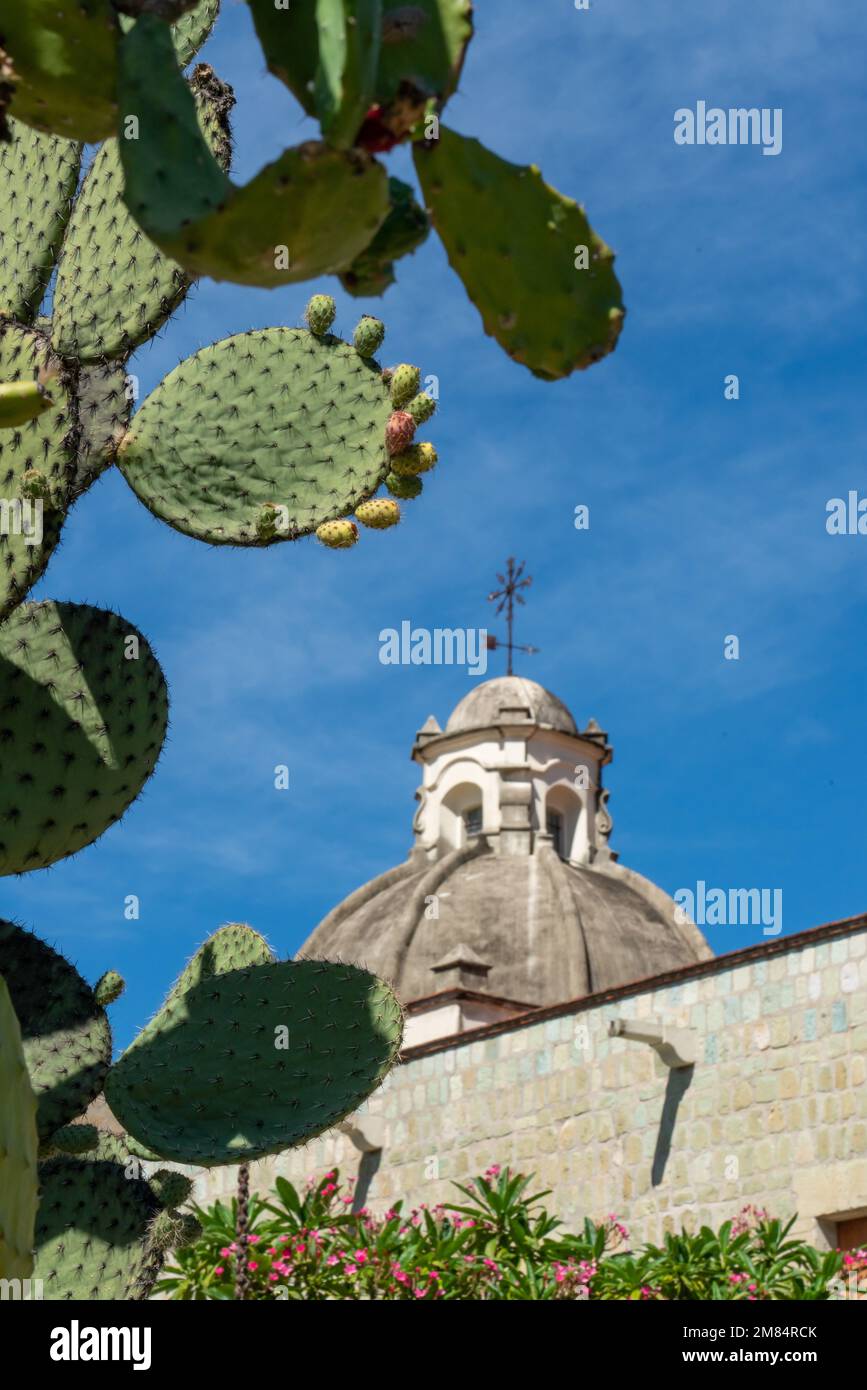 Cactus frame l'ex convento di Santo Domingo che oggi ospita il Museo delle culture di Oaxaca, Oaxaca, Messico. Foto Stock