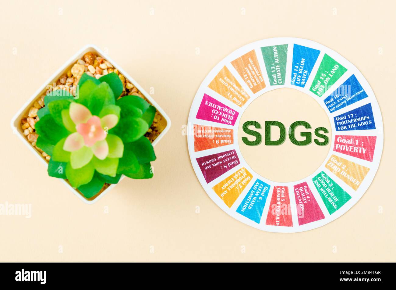 SDGs 17 obiettivi di sviluppo ambiente con piccolo vaso di pianta. Concetti di sviluppo ambientale. Foto Stock