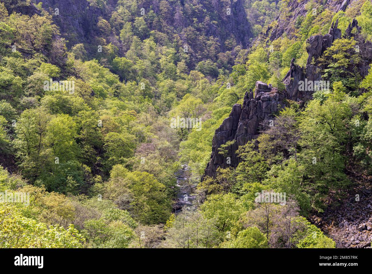 Panorama Blick nach Thale Foto Stock