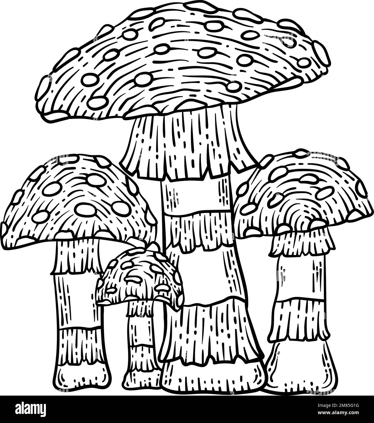 Pagina di colorazione primaverile dei funghi per adulti Illustrazione Vettoriale