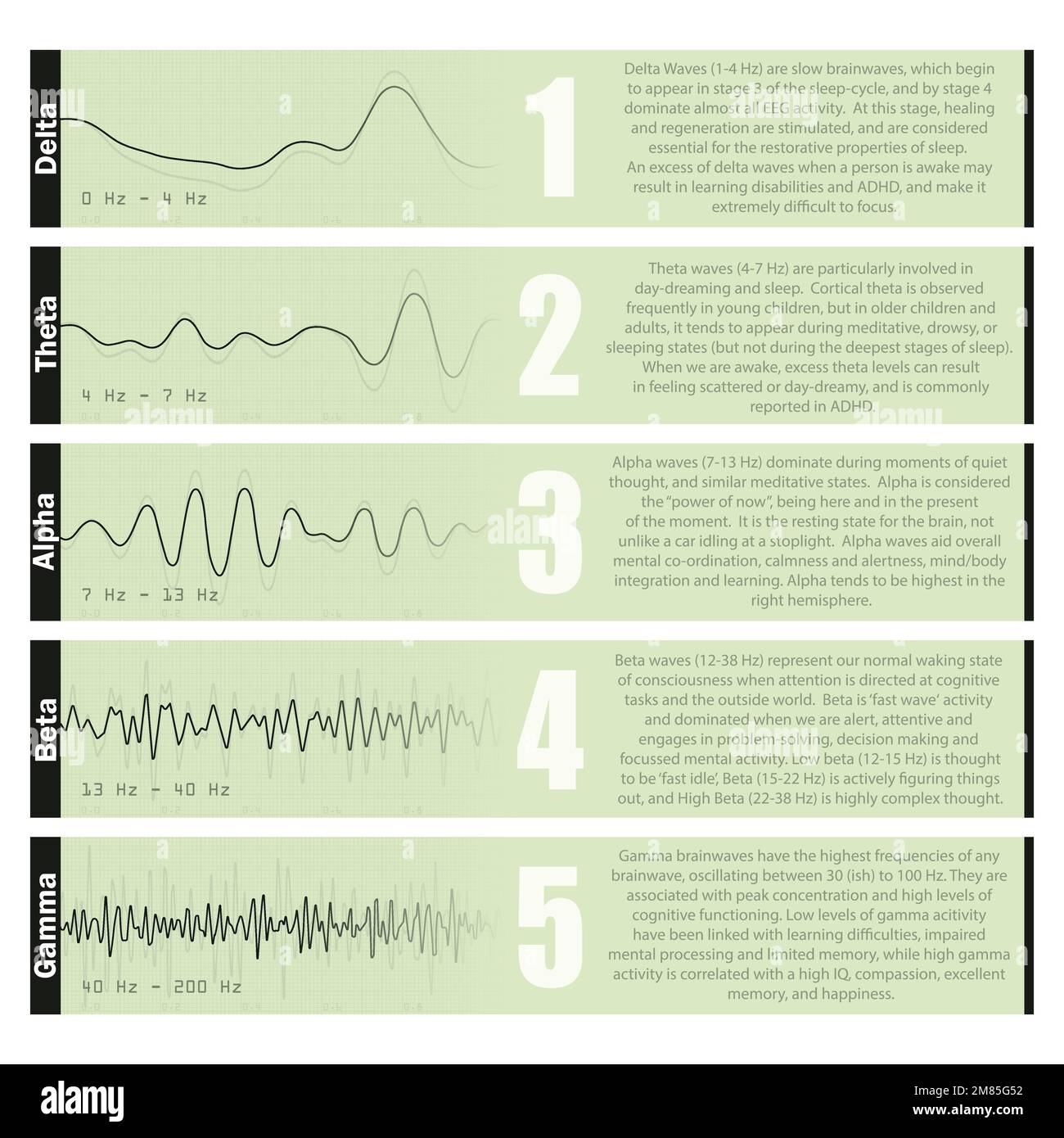 Diversi diagrammi delle onde cerebrali Illustrazione Vettoriale