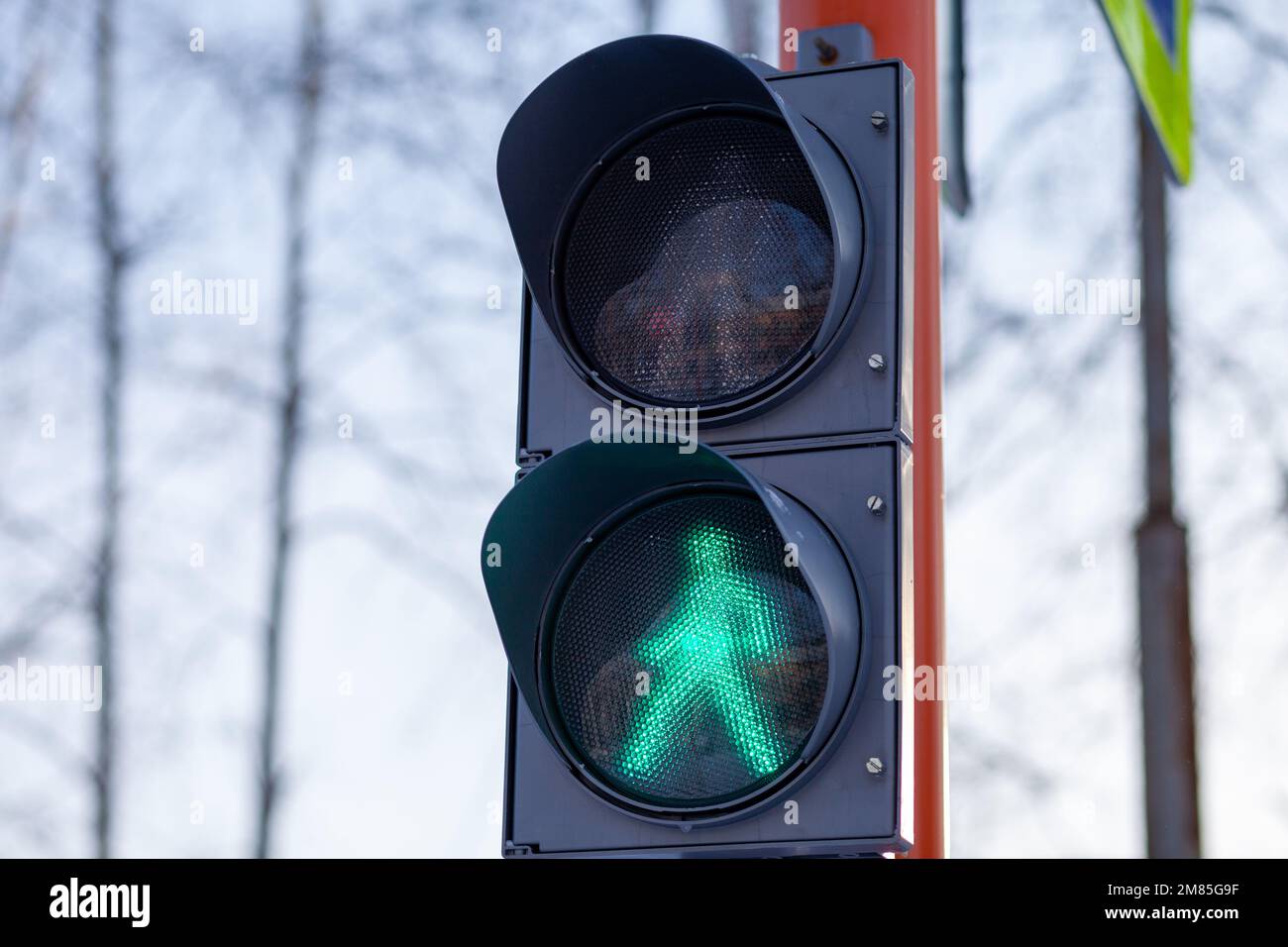 Semaforo verde su un semaforo pedonale. Attraversamento sicuro della strada da parte dei pedoni. Foto Stock