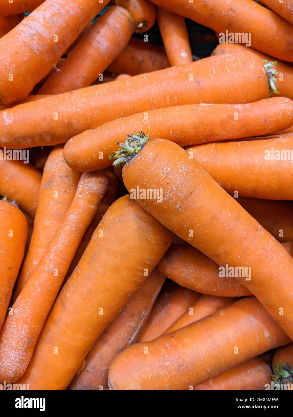 Molte carote, vista dall'alto. Benefici di carote, carote lavate, vitamina A. Foto Stock