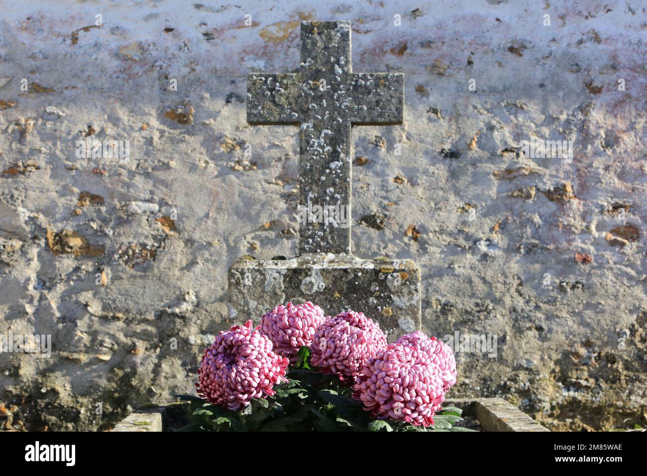 Fleurs sur une tombe. Foto Stock