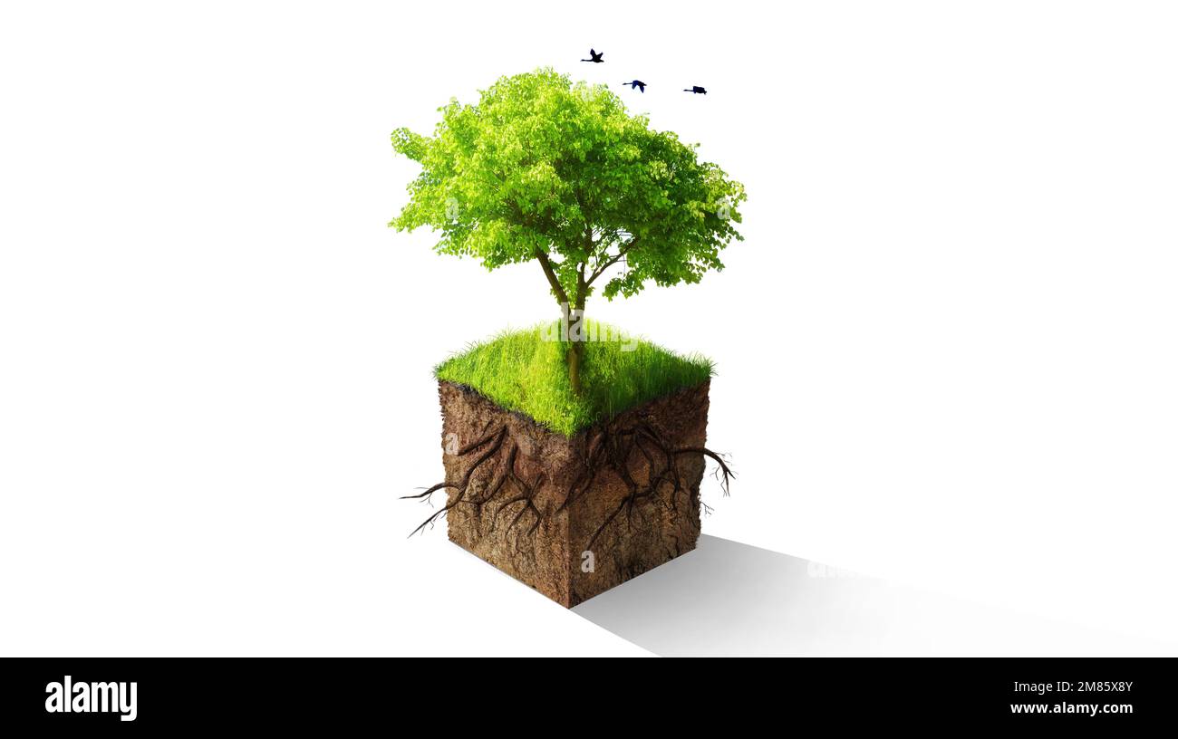 Sostenibilità degli alberi, grafica e verde per l'eco-compatibile, la natura o la cura per l'ambiente terrestre. Alberi, cambiamento climatico o sviluppo sostenibile di Foto Stock
