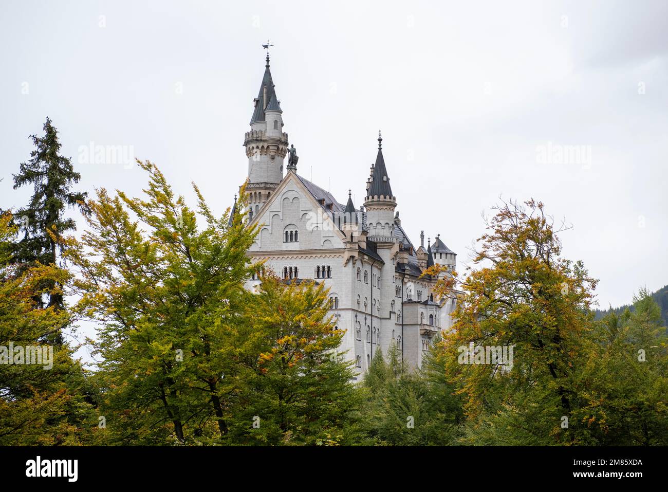 Castello di Neuschwanstein vicino a Fussen in Baviera Germania, Europa UE Foto Stock