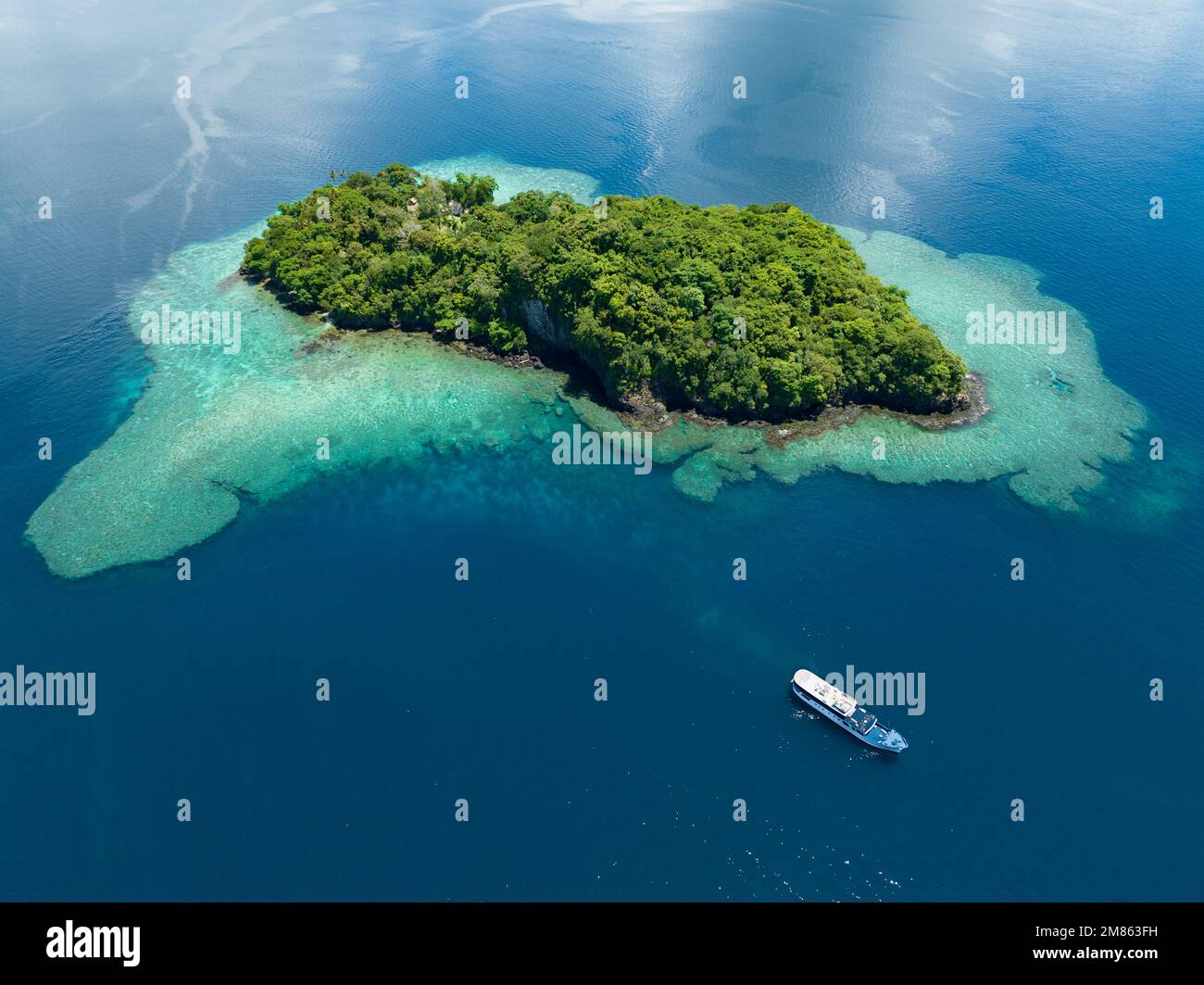 Una splendida barriera corallina circonda un'isola panoramica nelle Isole Salomone. Questo bellissimo paese è sede di una spettacolare biodiversità marina. Foto Stock