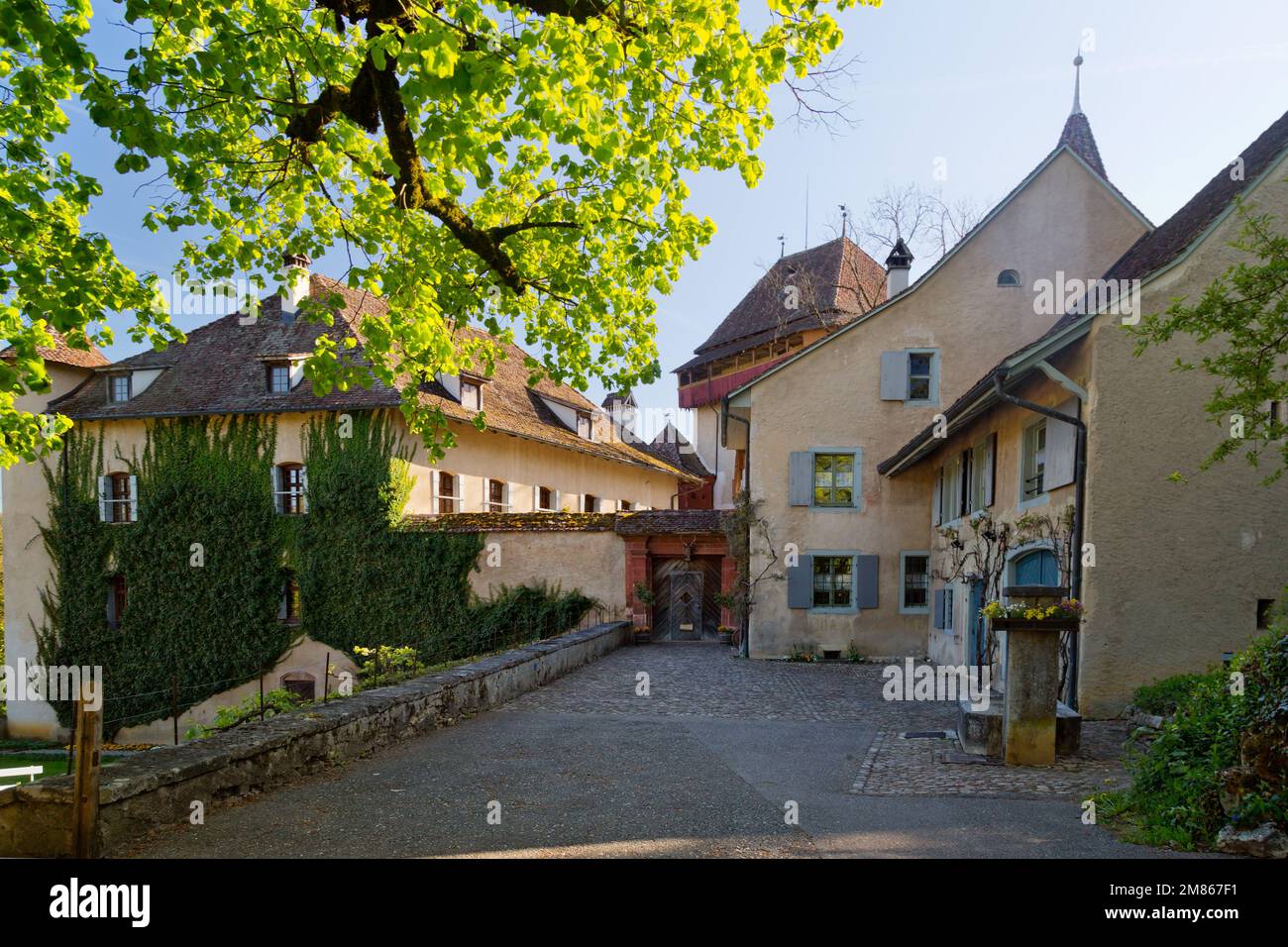 Castello di Wildenstein a Baselbiet, Canton Basilea-Landschaft, Svizzera Foto Stock