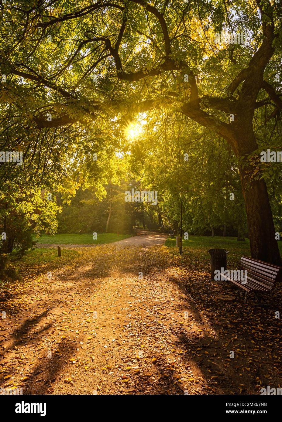 Giardino inglese a Tata città Ungheria. Si tratta di un bellissimo parco pubblico gratuito per i visitatori. Incredibile zona verde con un lago. Foto Stock