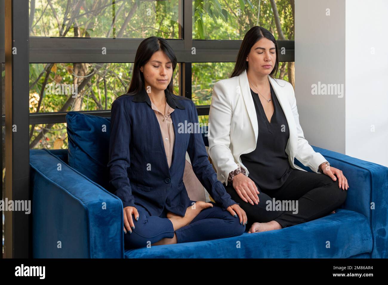 Donna d'affari che rastrellava il giardino zen alla scrivania d'ufficio  Foto stock - Alamy