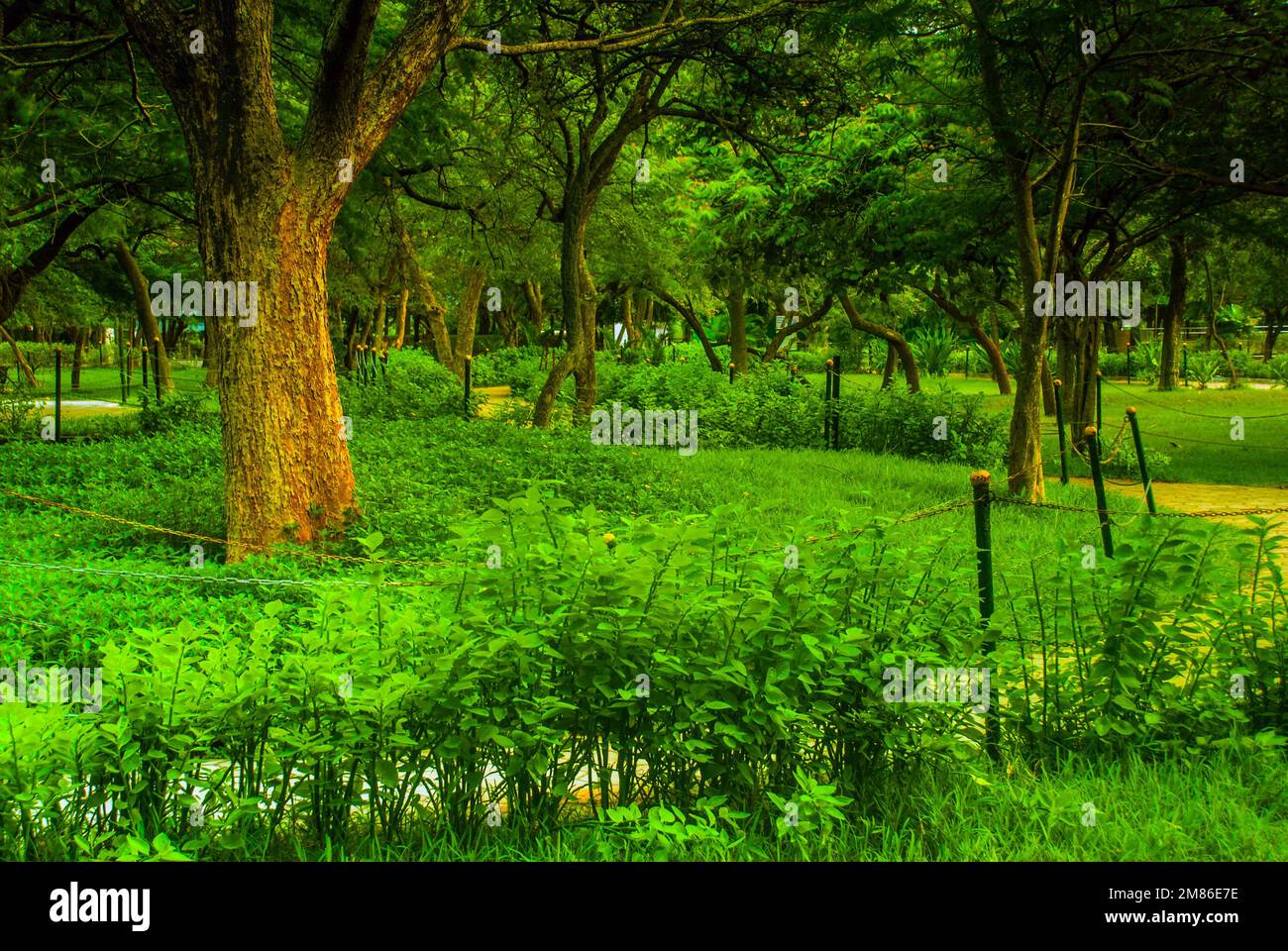 Parco di Guindy Foto Stock