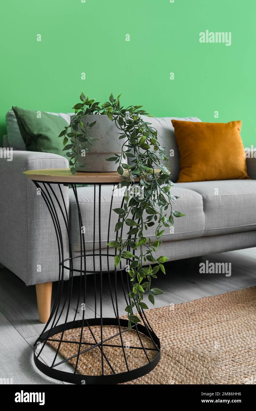 Divano grigio con cuscini, tavolo e piante vicino parete verde Foto stock -  Alamy